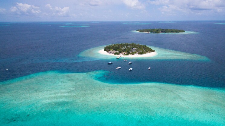 Malahini Kuda Bandos